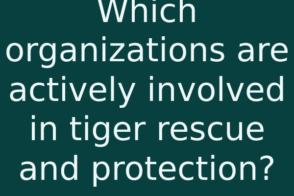 Which organizations are actively involved in tiger rescue and protection?