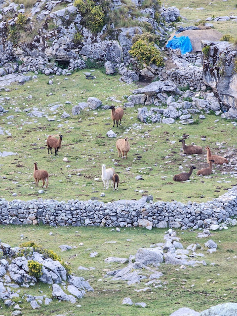 Circuito Huayhuash Peru