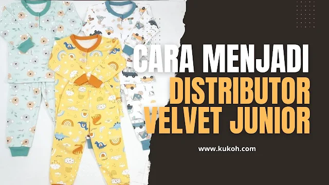 Cara Menjadi Distributor Velvet Junior