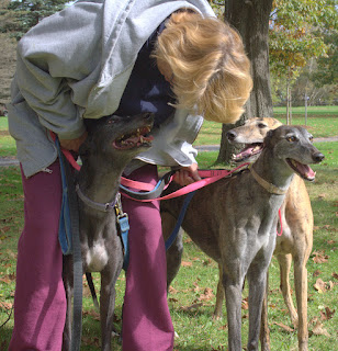 Gallivant with the Greyhounds 2012 2