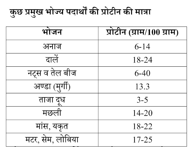 कुछ प्रमुख भोज्य पदार्थों की प्रोटीन की मात्रा