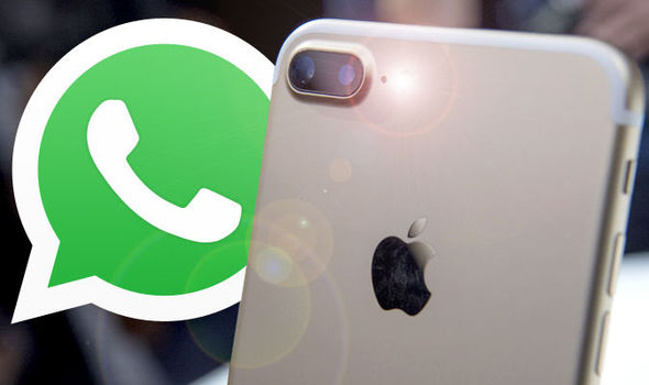 WhatsApp Akhirnya Resmikan Fitur Kirim Gambar  GIF Untuk iOS 
