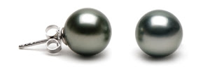 Tahitian Pearl Stud Earrings