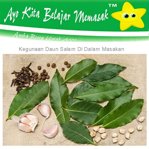 Apa Kegunaan  Daun Salam di Dalam  Masakan  Ayo Belajar Masak