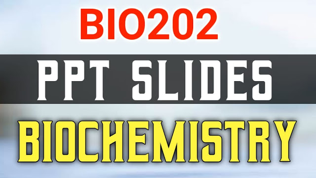 BIO202 PPT Slides PDF - Biochemistry