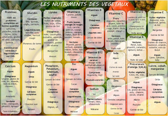 Paniers de Légumes - Paniers de fruits - Paniers de Fruits et Légumes