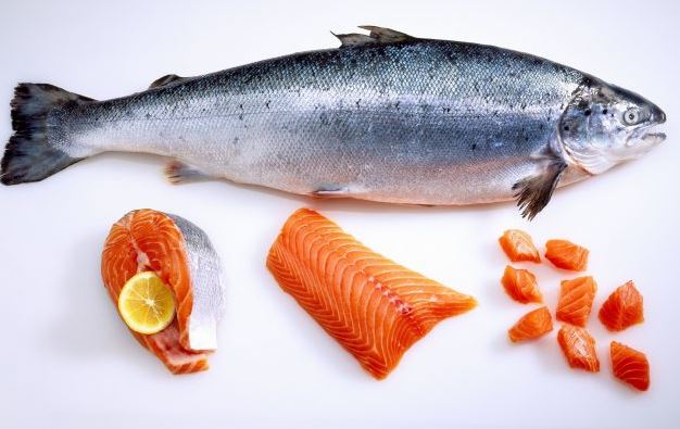 ikan salmon sushi