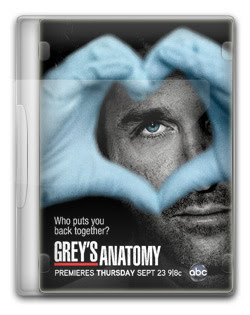 Grey’s Anatomy 7ª Temporada  