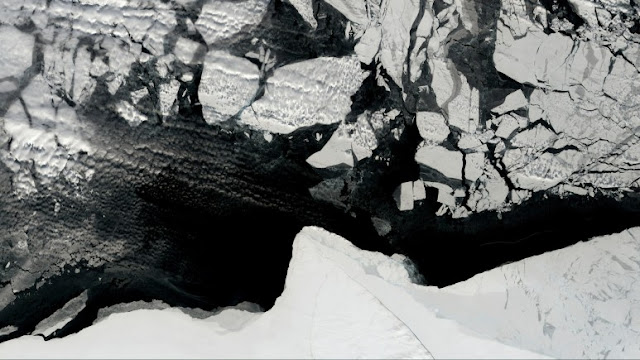 지구온난화 로 인하여 남극의 빙하가 녹아 해수면이 상승하죠.  ​