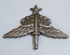 http://armia-shop.blogspot.com/2016/04/us-senior-freefall-parachutist-badge.html