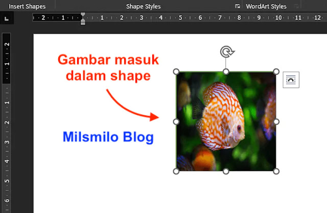 cara memasukan gambar ke shape di word dengan insert picture, memasukan foto ke dalam lingkaran membuat foto menjadi bulat, mengubah shape jadi gambar di word