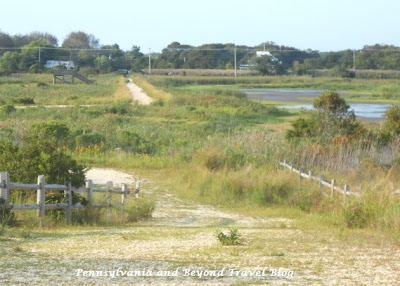 The Nature Conservancy - South Cape May Meadows in New Jersey