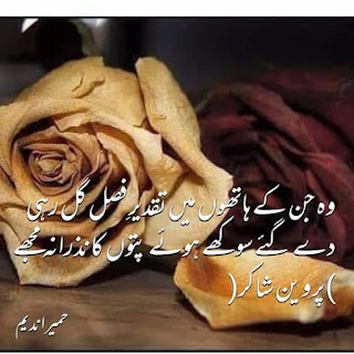 30+ Latest Sad Shayari Collection | 2 Lines Urdu Poetry Images