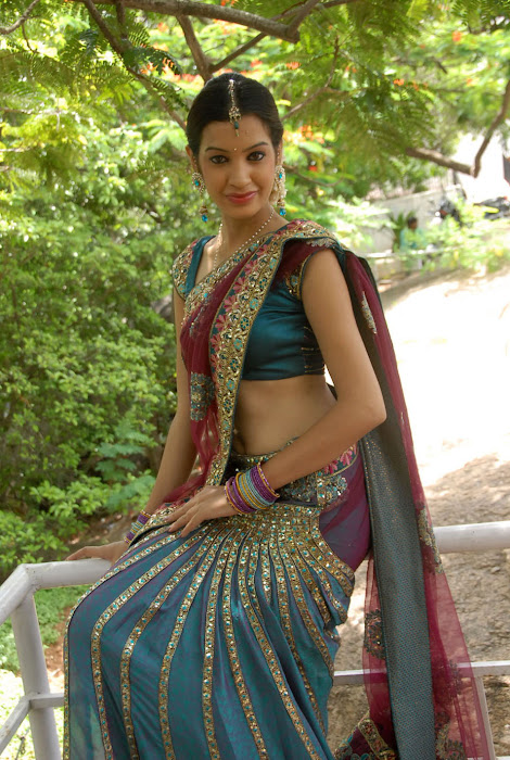 diksha panth new saree , diksha saree latest photos