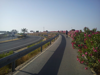 carril bici benijofar-torrevieja