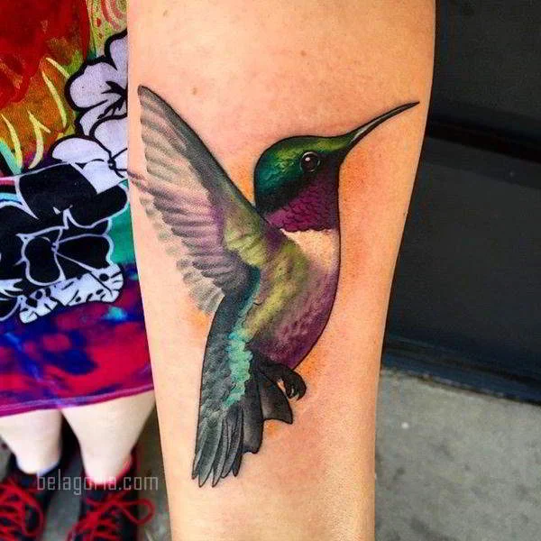 imagen del Tatuaje de un Colibrí