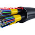 FOC: Fiber Optic Cable