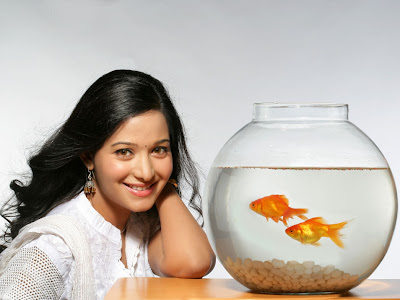 preetika rao new in priyudu unseen pics