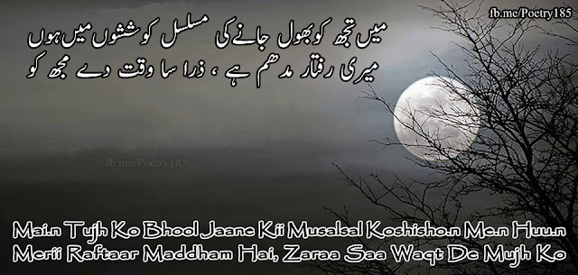 Urdu Poetry Love