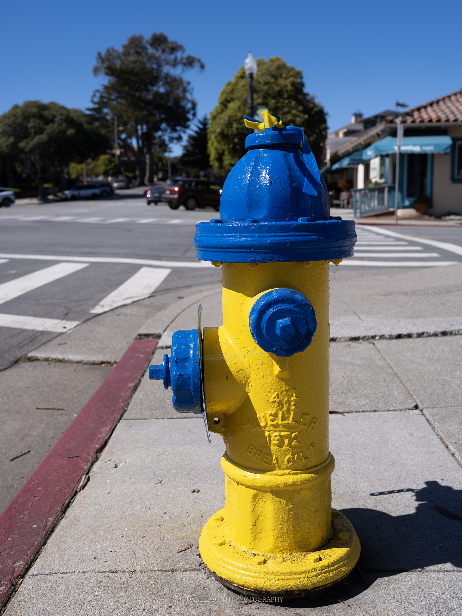 a photo of a colorful fire hydrant in pacific grove california