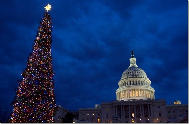 christmas_us_capitol_tree_washington