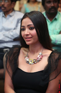 Swetha Basu in a Black Sleeveless Top Long Skirt at Mixture Potlam Movie Audio Launch 031.JPG