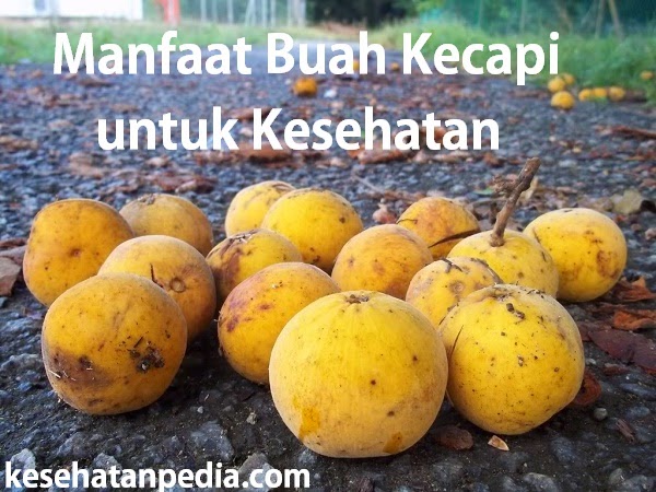 Manfaat Buah Kecapi  atau Sentul untuk Kesehatan 