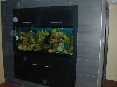 fish aquarium design