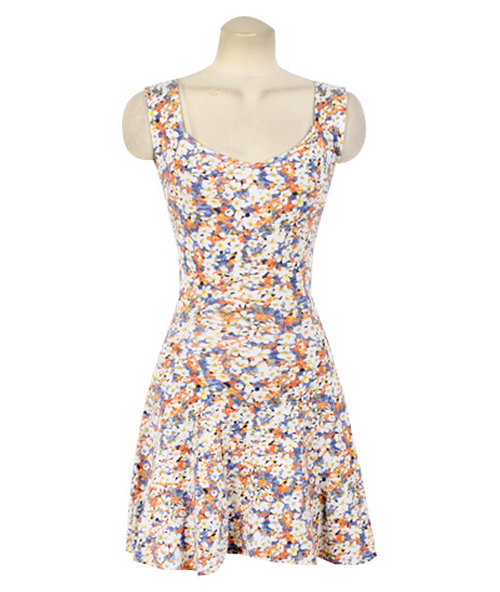 Floral Print Sleeveless Flare Dress