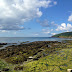 Looe, July 2015