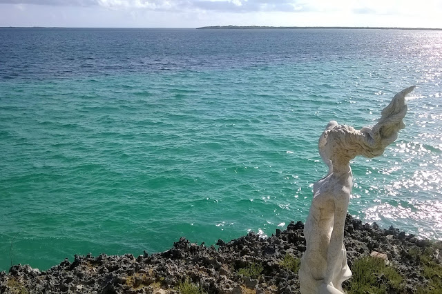 Diminuer sa consommation en eau au quotidien