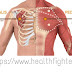 Chest