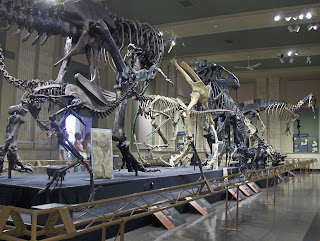 Dinosaur Discovery Museum