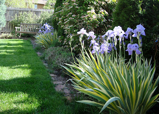 Landscape Border Fence