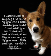 Best Dog Quotes. Posted by Mr. D at 12:30 AM (dog )