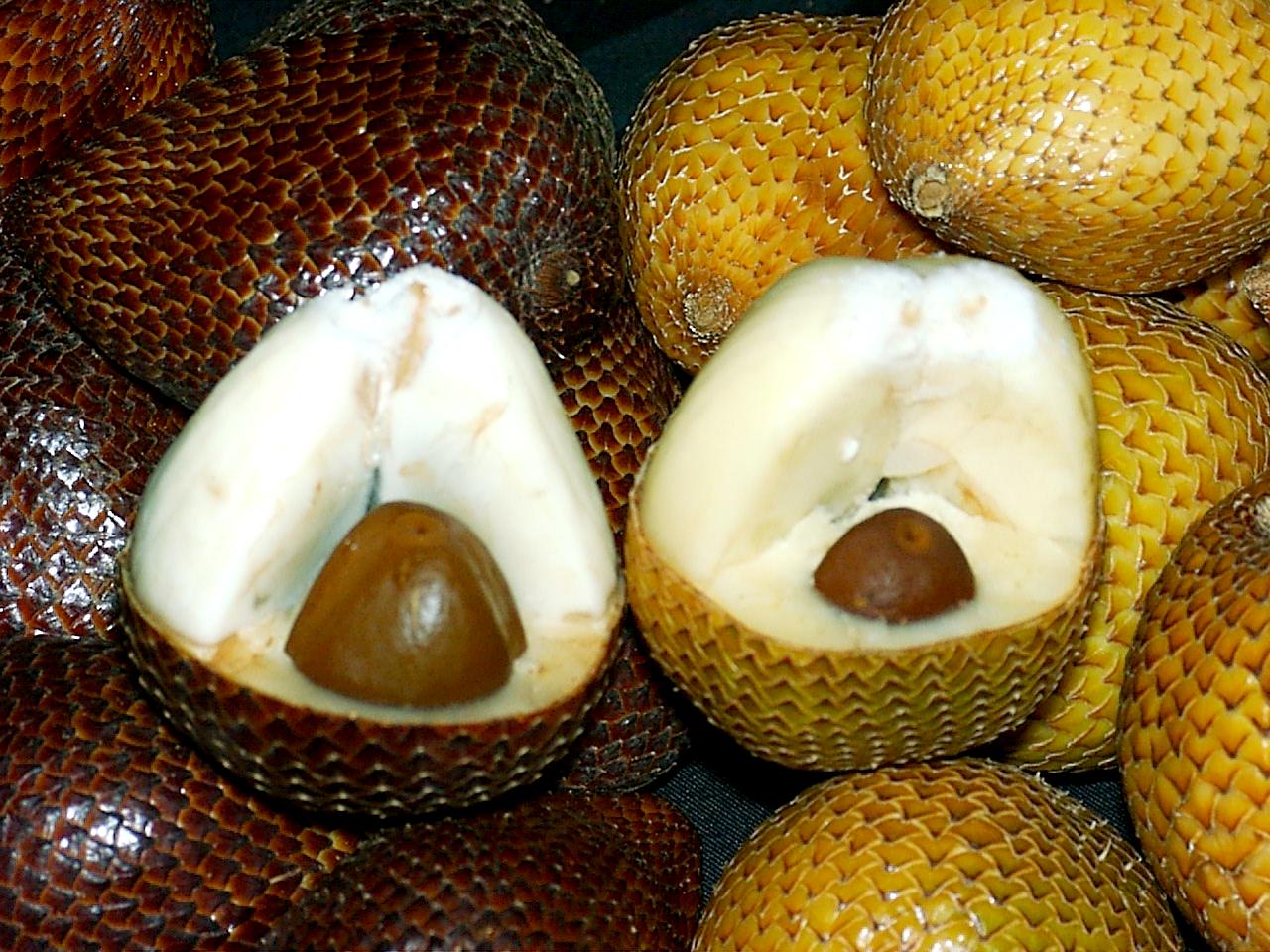 Potensi Salak Pondoh Di Kabupaten Magelang  Salak Fruit 