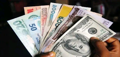 Naira Shows Resilience: Appreciates Against Dollar in Official and Parallel Markets