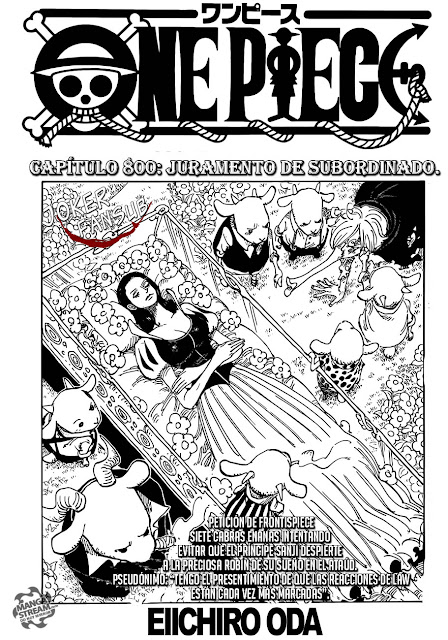 ONE PIECE MANGA CAPITULO 800