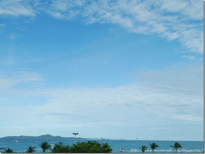 PhotoCap_026