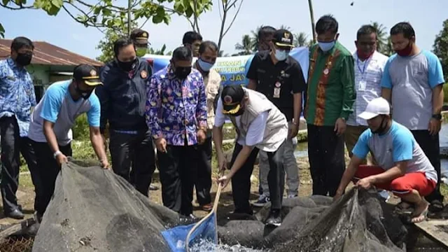 Wawako Hendri Septa Apresiasi Panen Perdana Ikan Nila Hasil UEP Karta Jaya Tarantang.