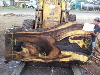 Planche de noyer