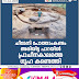 ചീമേനി പോത്താംകണ്ടം  അരിയിട്ട പാറയിൽ  പ്രാചീനകാലത്തെ  ഗുഹ കണ്ടെത്തി 