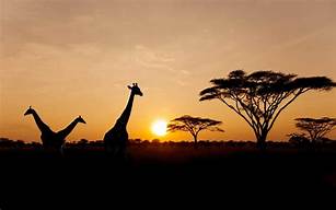 West Africa Adventure