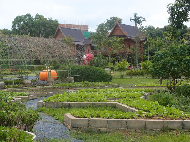 vegetable farm