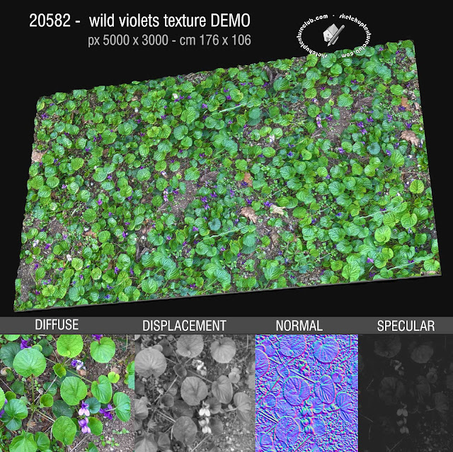  20582 Wild violets seamless texture High resolution + maps