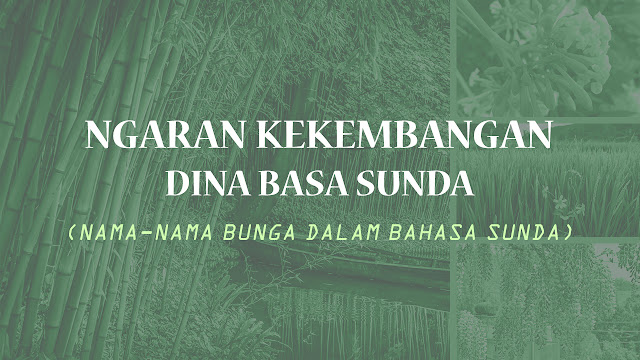 ngaran kembang sunda, nama bunga sunda, istilah sunda