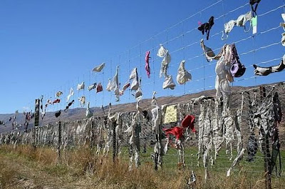 The Cardrona Bra Fence of New Zealand