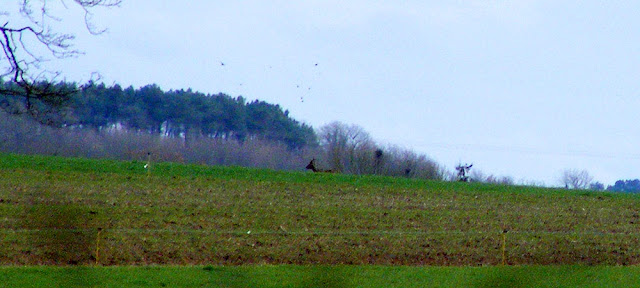 Photographed by Susan from Loire Valley Time Travel. https://tourtheloire.com