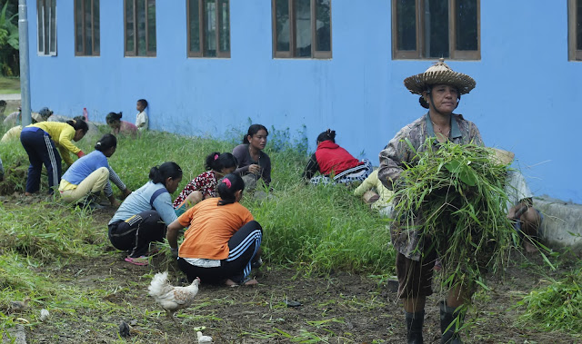 Gotong royong dan saling bantu