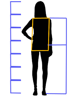 proporção, corpo, biotipo, 